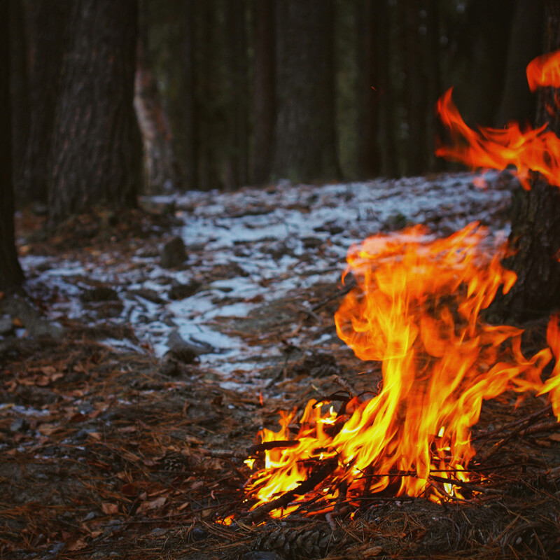A campfire burns brightly on a forest floor with trees and patches of snow in the background.