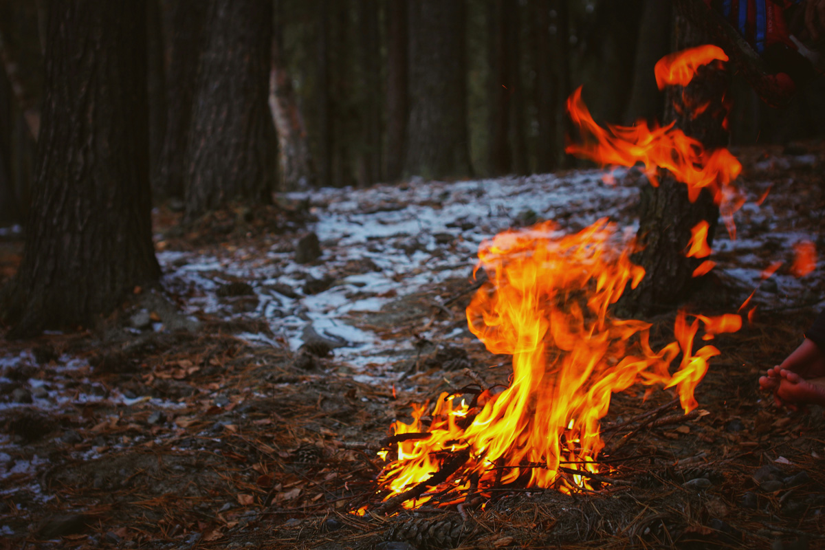 A campfire burns brightly on a forest floor with trees and patches of snow in the background.