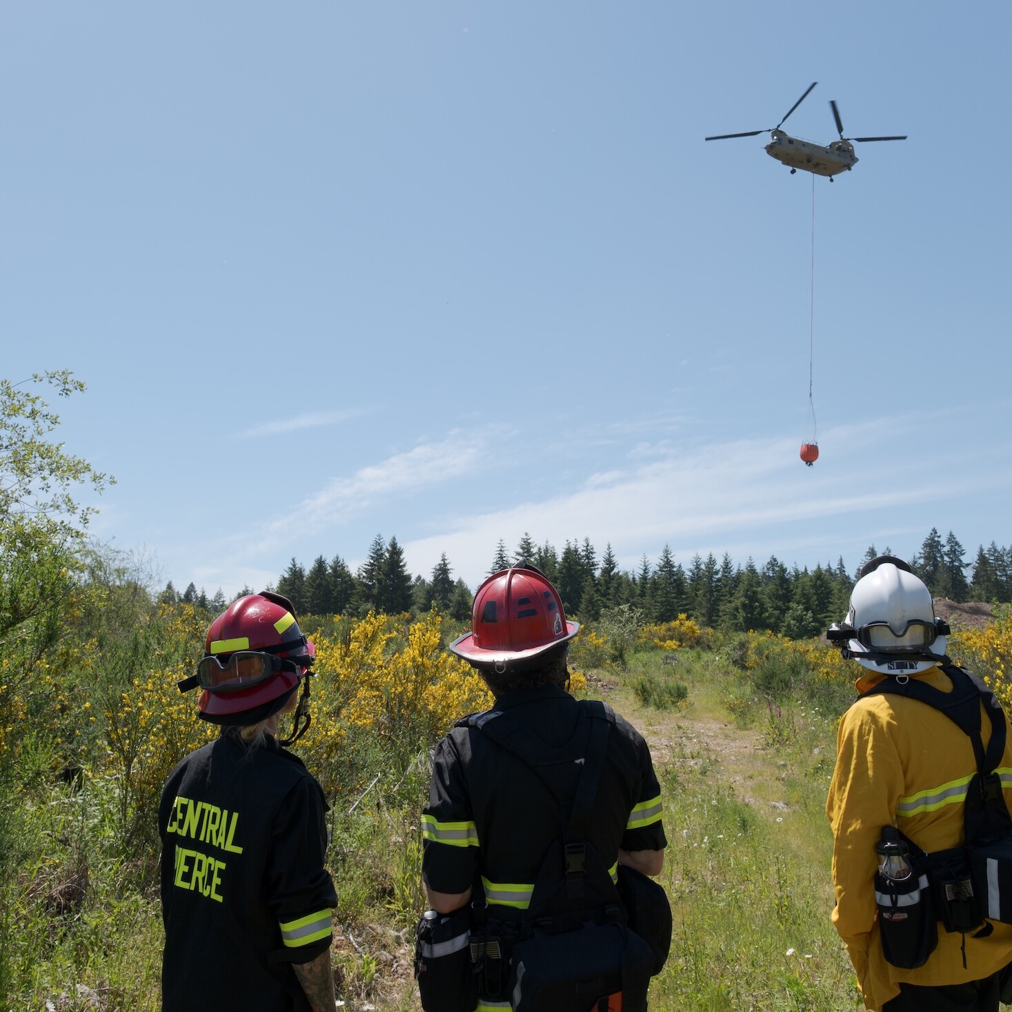Three firefighters watch a helicopter carrying a water bucket fly above a grassy area with trees and yellow flowering bushes.