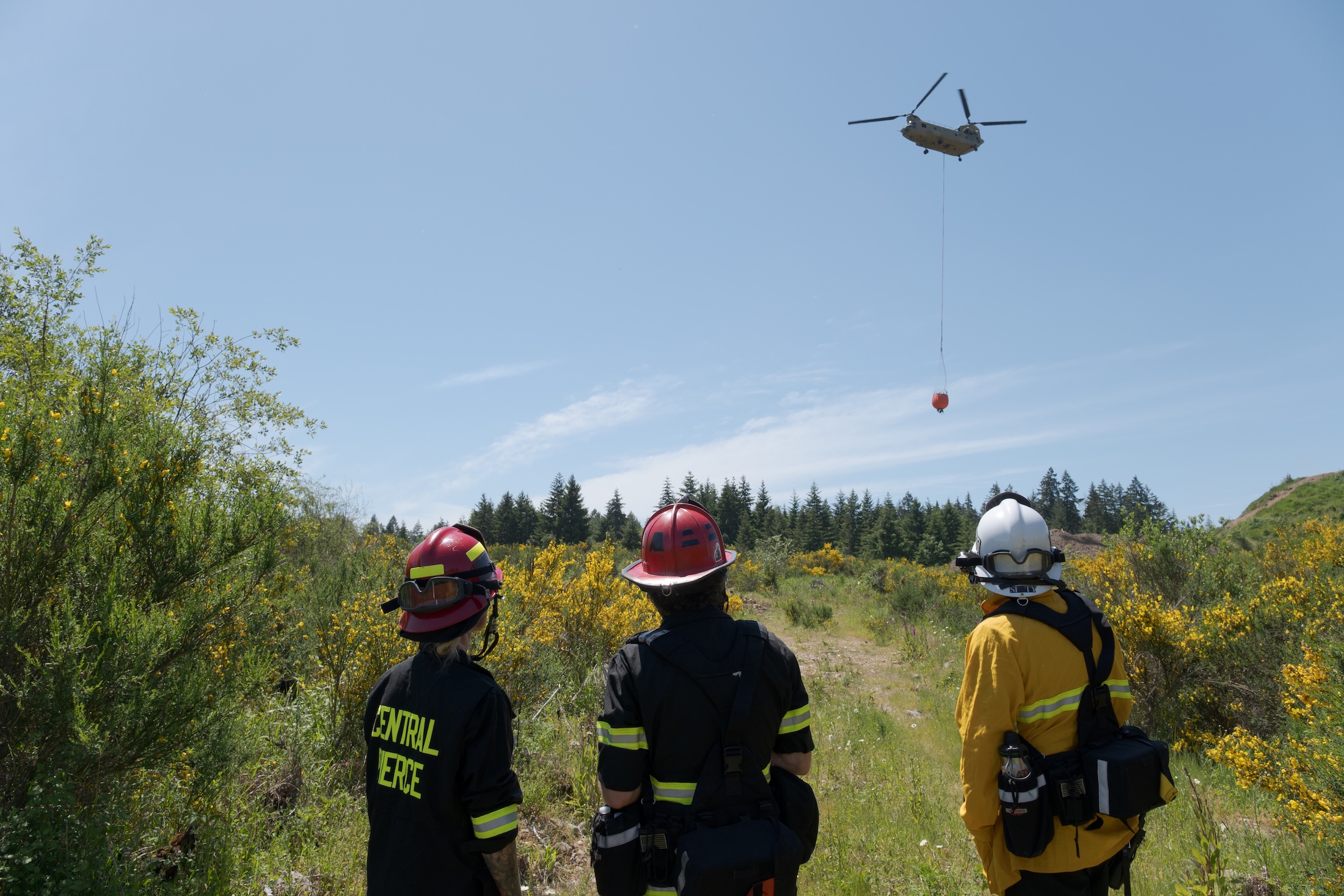 Three firefighters watch a helicopter carrying a water bucket fly above a grassy area with trees and yellow flowering bushes.