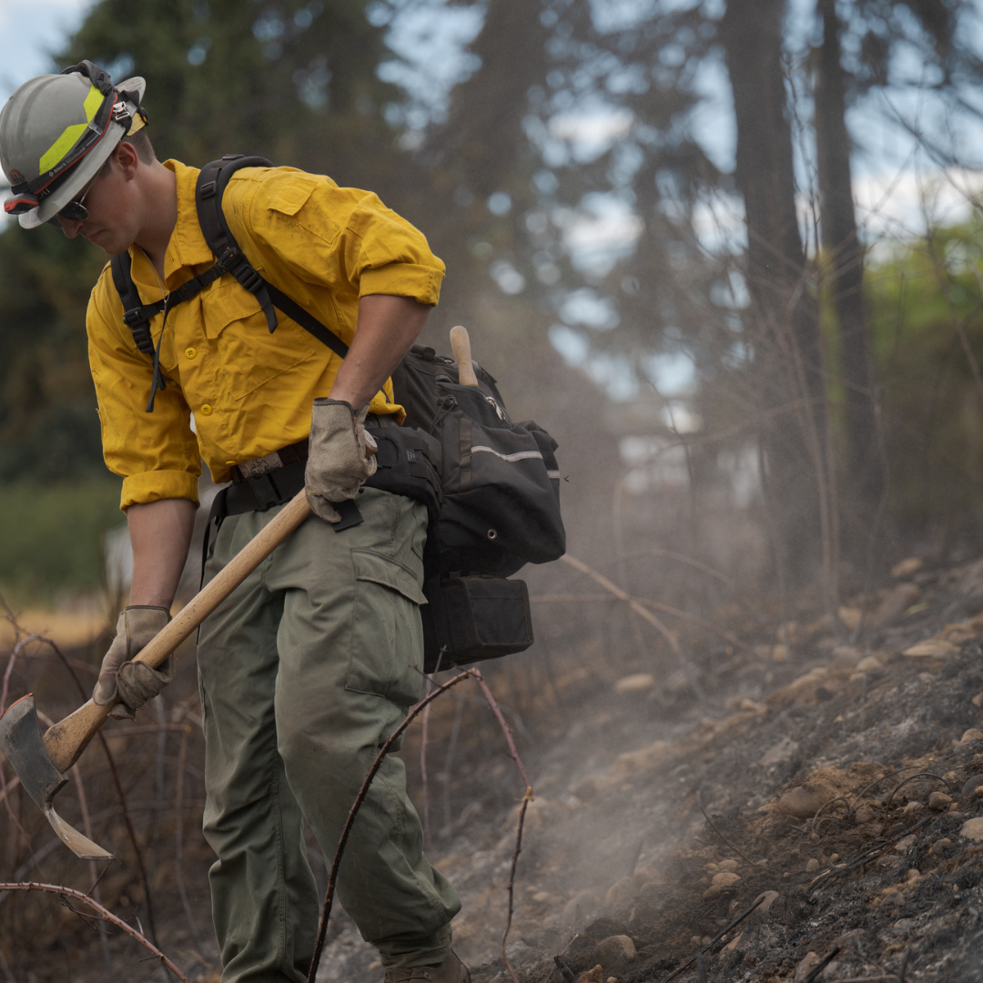Two firefighters in yellow shirts and helmets use tools to clear burnt ground in a forested area.